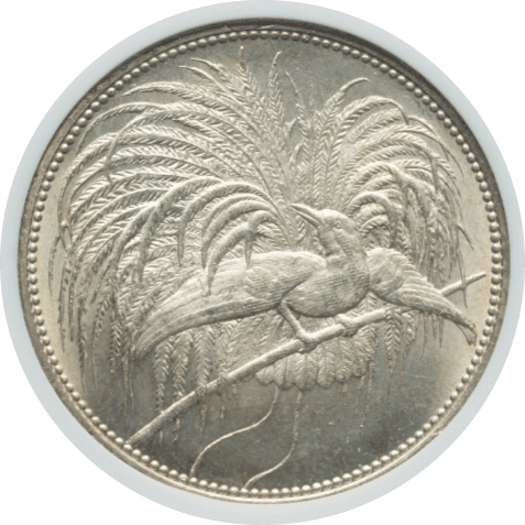 【MS65】1894年 ドイツ領ニューギニア 極楽鳥 5マルク銀貨(表)