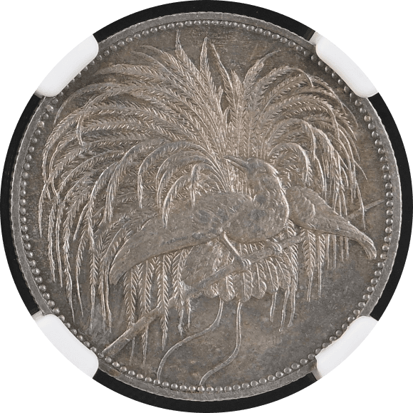 【MS63】1894年 ドイツ領ニューギニア 極楽鳥 2マルク銀貨(表)