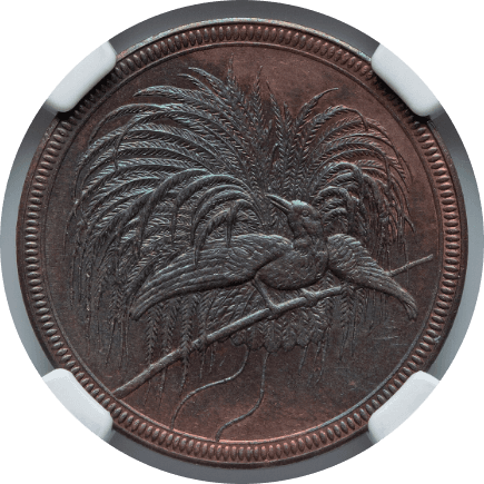 【MS63 BN】1894年 ドイツ領ニューギニア 極楽鳥 10ペニヒ銅貨(表)