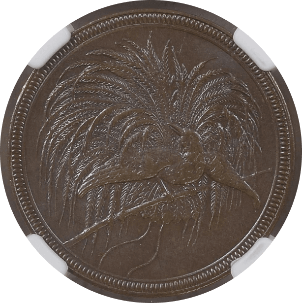 【MS65 BN】1894年 ドイツ領ニューギニア 極楽鳥 10ペニヒ銅貨(表)