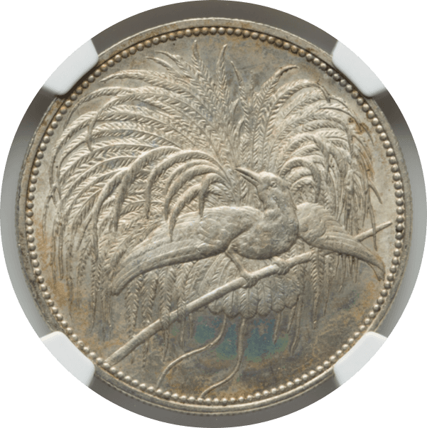【MS65】1894年 ドイツ領ニューギニア 極楽鳥 5マルク銀貨(表)